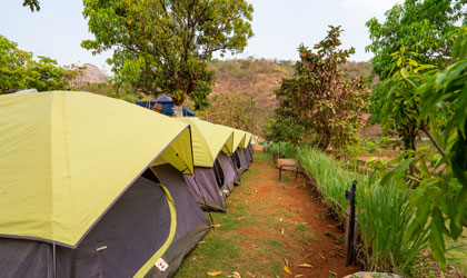 Dome Tent