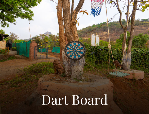 dart-board image