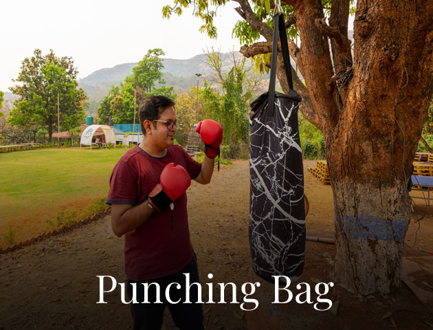 punching-bag image