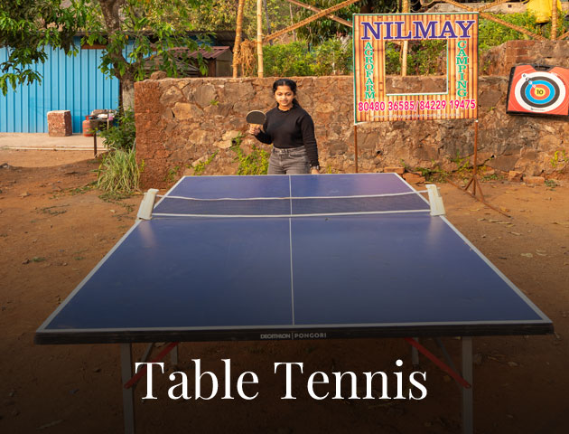 table-tennis image